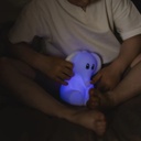 Kidynight Veladora Koala Kidywolf