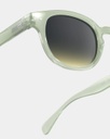 Adult Sun #C Quiet Green Izipizi
