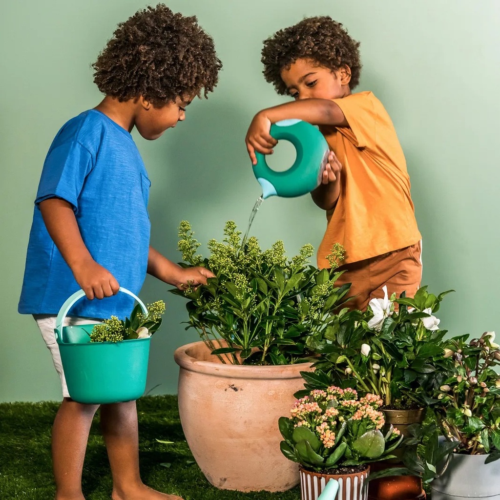 Cana Small Garden Green Quut