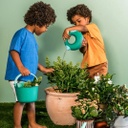 Cana Small Garden Green Quut