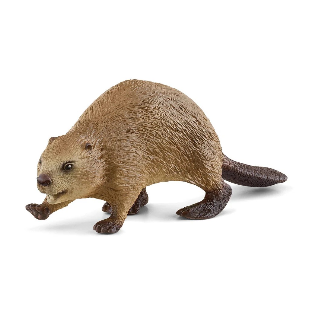 Beaver Schleich