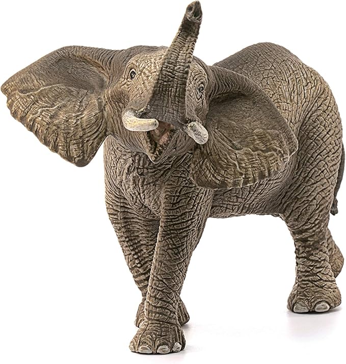 African Elephant 270029 Safari