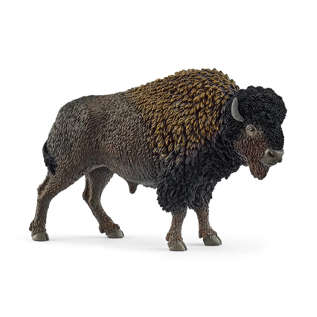 Bisonte Schleich