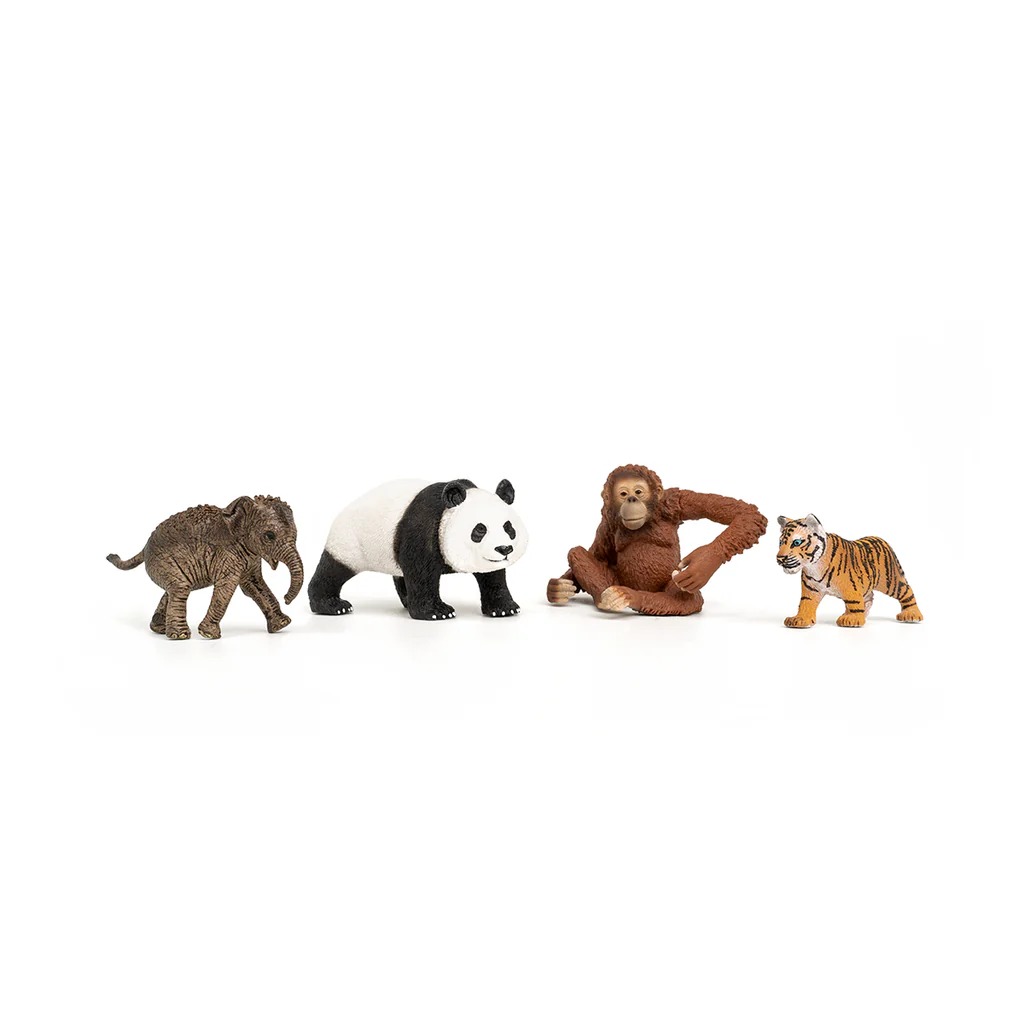 Wild Life Asia Starter Set Schleich