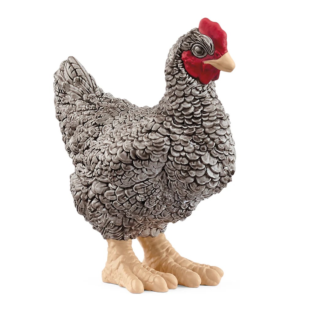 Phylomuth Rock Chicken Schleich