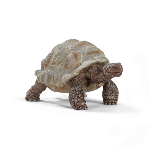 [14824] Giant Tortoise Schleich