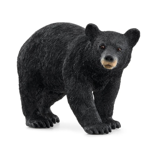 [14869] American Black Bear Schleich