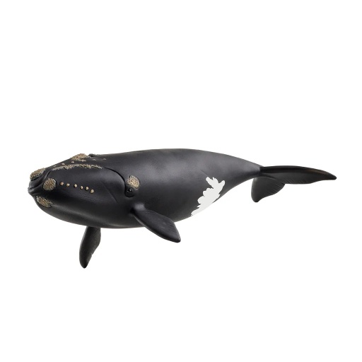 [4059433762241] North Atlantic Right Whal Schleich