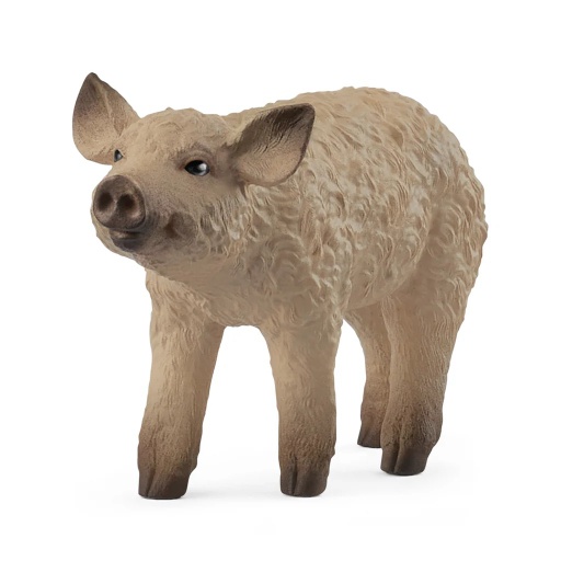 [4059433762234] Mangalica Piglet Schleich